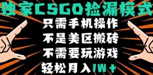 CSGO自动捡漏项目，最新独家玩法，不是美区搬砖，不需要了解和玩游戏，新手小白轻松月入1W+【揭秘】-网创项目