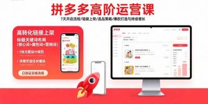 拼多多高阶运营课：7天开店流程/链接上架/选品策略/爆款打造与持续增长-网创项目