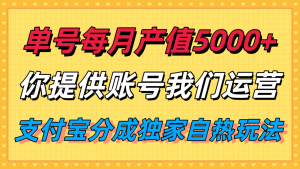 单月产值5000+，支付宝分成代运营，你提供账号坐等分钱，我们帮你运营-网创项目