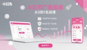 小红书广告投放从0到1的实战课,学完即可开始投放,拒绝无效广告消耗-网创项目