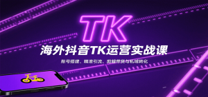 海外抖音TK运营实战课：账号搭建、精准引流、剪辑带货与私域转化-网创项目