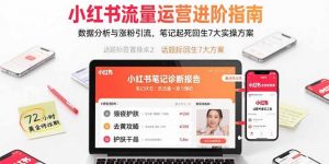 小红书流量运营进阶指南，数据分析与涨粉引流，笔记起死回生7大实操方案-网创项目