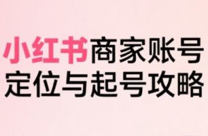 小红书电商全链路实战从定位到爆单，系统拆解小红书商家起号全流程(更新)-网创项目