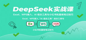 DeepSeek实战课：Excel、WPS接入、AI 组合工具与小红书批量做笔记技巧-网创项目