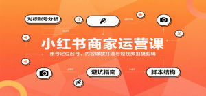 小红书商家运营课，账号定位起号、内容爆款打造与短视频拍摄剪辑-网创项目