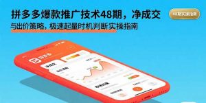 拼多多爆款推广技术48期，净成交与出价策略，极速起量时机判断实操指南-网创项目