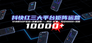 抖快红三大平台矩阵运营,12小时SOP实战+流量获取-风控-扩量,月引10000+线索-网创项目