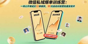 微信私域爆单训练营:一场公开课成交33单案例,99元自动训练营批量变现术-网创项目