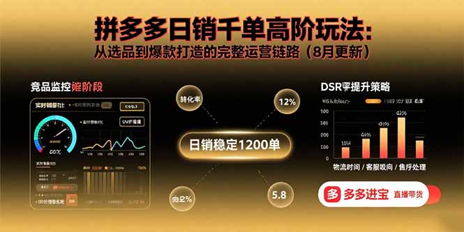 拼多多日销千单高阶玩法：从选品到爆款打造的完整运营链路(8月更新-网创项目
