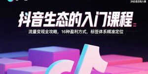 抖音生态的入门课程：流量变现全攻略，16种盈利方式，标签体系精准定位-网创项目