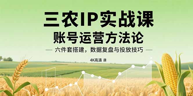 三农IP实战课：账号运营方法论，六件套搭建，数据复盘与投放技巧-网创项目