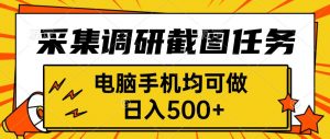 采集，调研，截图任务，电脑手机均可做，日入500+-网创项目