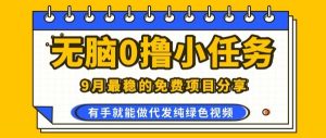 0学费0风险，2025风口项目，无脑免费撸，代发纯绿色视频，一部手机人人可做【揭秘】-网创项目