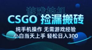 8月最新游戏搬砖，CSGO纯挂G，不需要玩游戏，实现真挂G，月入1W+【揭秘】-网创项目