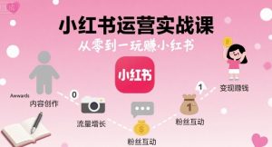 小红书运营实战课，从零到一玩賺小红书-网创项目