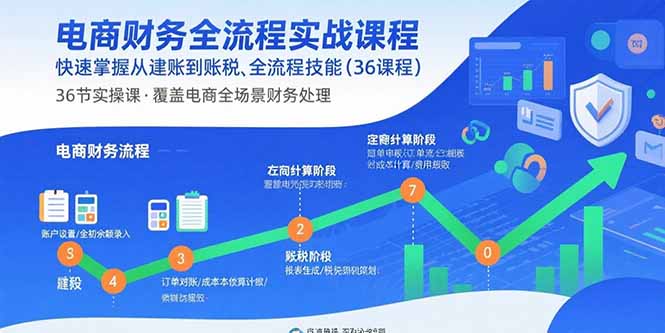 电商财务全流程实战课程：快速掌握从建账到报税的全流程技能(36节课-网创项目
