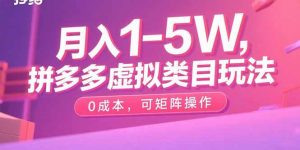 月入1-5W,拼多多虚拟类目玩法,0成本,可矩阵操作-网创项目