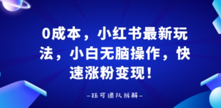 0成本，小红书最新玩法，小白无脑操作，快速涨粉变现-网创项目