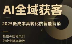 AI全域获客实训营,2025低成本高转化的智能营销,精准找客,高效营销-网创项目