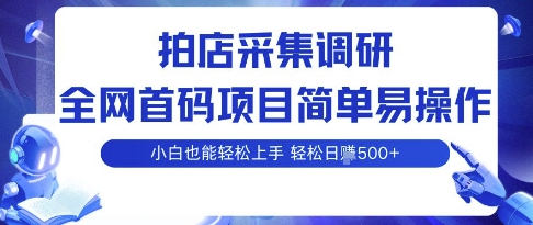 拍店采集调研，全网首码项目，简单易操作， 小白也能轻松上手，多账号操作，轻松日入5张【揭秘】-网创项目