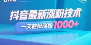 抖音最新涨粉技术，一天轻松涨粉1000+-网创项目