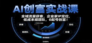 AI创富实战课:企业家IP定位,全域流量获客,低成本组团队,0起号创富!-网创项目