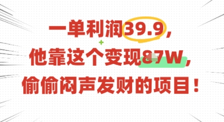 一单利润39.9，有人靠这个变现几十个，偷偷闷声发财的项目-网创项目