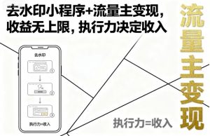 去水印小程序+流量主变现，收益无上限，执行力决定收入-网创项目