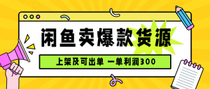 闲鱼卖爆款货源，每天利润1000，上架即出单-网创项目