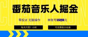 番茄音乐人掘金，单账号最高可撸1k+，可无限矩阵去做，零投入-网创项目