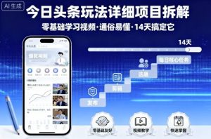 今日头条玩法详细项目拆解，零基础学习视频 通俗易懂 14天搞定它-网创项目