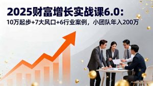 2025财富增长实战课6.0:10万起步+7大风口+6行业案例,小团队年入200万-网创项目