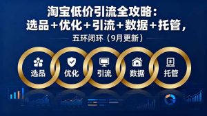 淘宝低价引流全攻略：选品＋优化＋引流＋数据＋托管，五环闭环(9月更新-网创项目