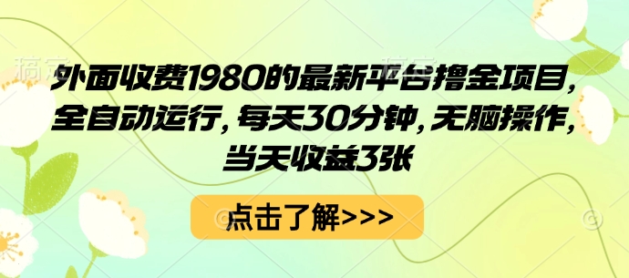 外面收费1980的最新平台撸金项目，全自动运行，每天30分钟，无脑操作，当天收益3张【揭秘】-网创项目