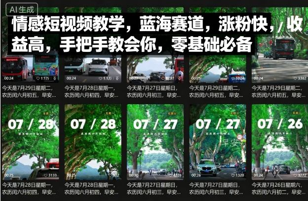 情感短视频教学，蓝海赛道，涨粉快，收益高，手把手教会你，零基础必备-网创项目