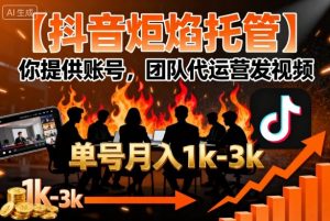 【抖音炬焰托管】你提供账号,团队代运营发视频,单号月入1k+【揭秘】-网创项目