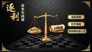 《逐 利》商业实战课,底层逻辑、杠杆策略、18锦囊,跨周期财富心法-网创项目