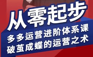 拼多多运营进阶系统课,从零起步,多多运营进阶体系课,破茧成蝶的运营之术(更新9月)-网创项目