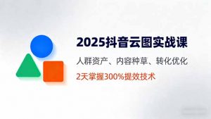 2025抖音云图实战课，人群资产、内容种草、转化优化，2天掌握300%提效技术-网创项目