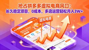 抢占拼多多虚拟电商风口：长久稳定项目，0成本，多店运营轻松月入3W+-网创项目