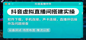 抖音虚拟直播间搭建实操、软件下载，手机连接，声卡连接，直播伴侣操作及问题排查-网创项目