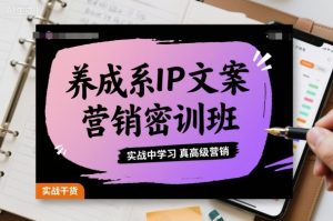 养成系IP文案营销密训班，实战中学习真高级营销-网创项目