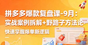 拼多多爆款复盘课-9月：实战案例拆解+野路子方法论，快速掌握爆单新逻辑-网创项目