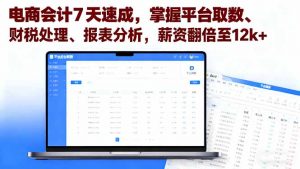 电商会计7天速成,掌握平台取数、财税处理、报表分析,薪资翻倍至12k+-网创项目