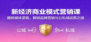 新经济商业模式营销课,握新媒体逻辑,解锁品牌营销与公私域运营之道-网创项目