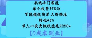 私域冷门赛道:单个收费198米引流模板简单人群精准转化45%单人一天大概收益是1k+-网创项目