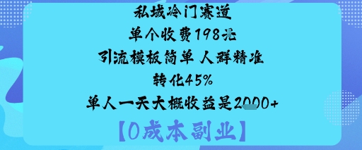 私域冷门赛道:单个收费198米引流模板简单人群精准转化45%单人一天大概收益是1k+-网创项目