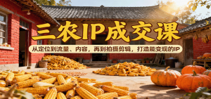 三农IP成交课:从定位到流量、内容,再到拍摄剪辑,打造能变现的IP-网创项目