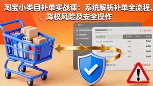 淘宝小类目补单实战课：系统解析补单全流程、降权风险及安全操作-网创项目