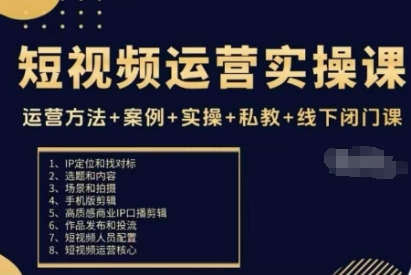 短视频运营实操课，运营方法+案例+实操+私教+线下闭门课-网创项目